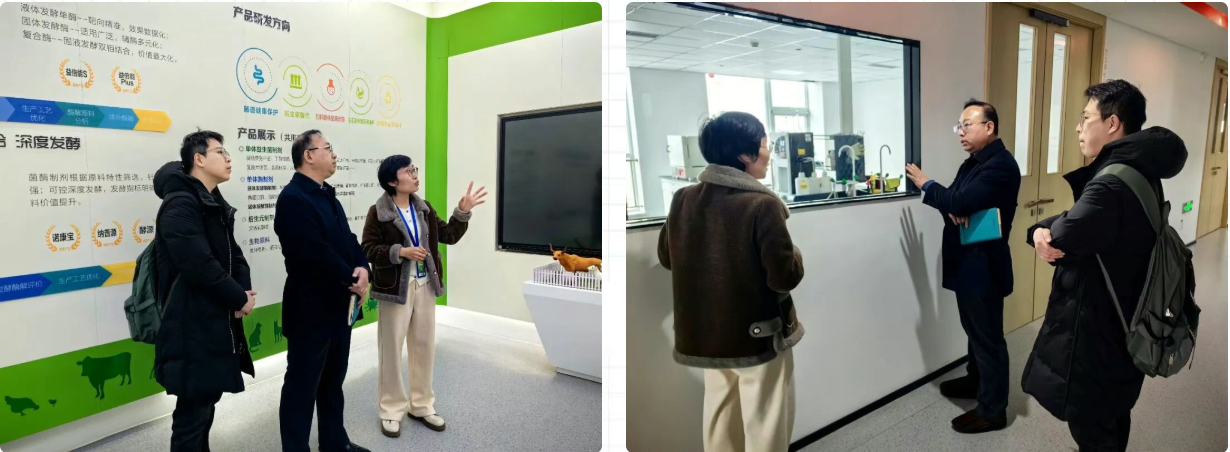 1775869805793300.png 微信图片_20260411090850_2233_146.png